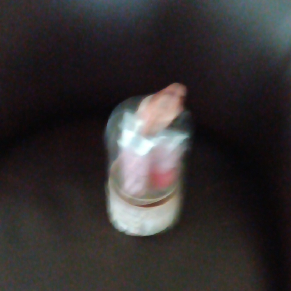Decorative Glass Dome with Figurine